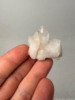 Front view showing two clear terminated quartz points attached to milky matrix