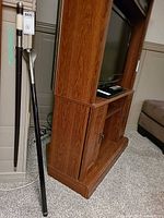 Both canes leaning against entertainment unit, shows snake head handle and shafts