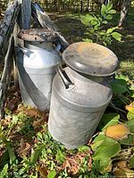 Both milk jugs side-by-side outdoors