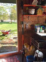 Full view of Remington pole saw standing upright showing full length and extension pole