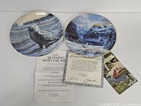 Both plates front views with certificate and paperwork