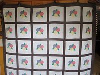 Full view of quilt hanging showing overall pattern and size