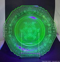 Plate glowing green under black light showing floral pattern
