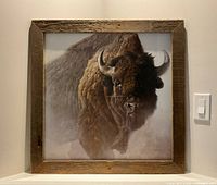 Front view of Robert Bateman buffalo print in rustic wood frame