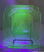 Plates glowing under UV light, showing uranium fluorescence