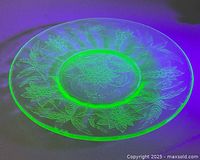 Plate under UV light showing green fluorescence