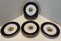 All 12 Rosenthal dessert plates displayed; shows cobalt rim, gold trim, fruit motifs