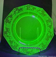 Front view under UV light showing bright green fluorescence and full horse border