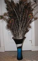 Vase filled with peacock feathers front view
