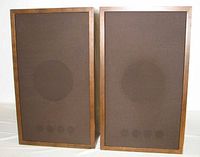Front view of both speakers showing brown fabric grilles and wood cabinets
