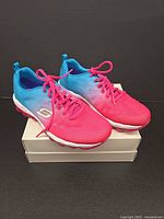 Full view of both sneakers on box showing color gradient and overall condition