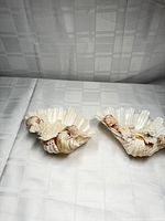 Both decorative seashells side by side on fabric backdrop
