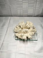 Full view of faux coral specimen on glass base