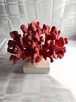 Front view of coral sculpture on base