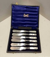 Open case showing six butter spreaders aligned