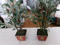 Two artificial olive plants in red square planters on table