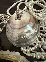 Large iridescent shell pendant surrounded by pearl and bead strands