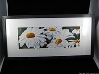 Front view of framed watercolour painting of daisies