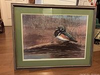 Front view of framed wood duck print