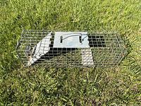 Full view of wire mesh live trap on grass