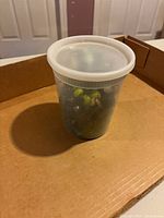 Plastic cup filled with glass marbles