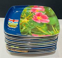 Stack of 11 square blue-border plates