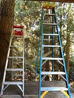Both ladders standing side by side for size comparison
