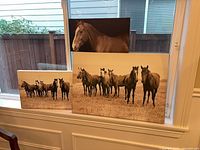 Front view showing all three sepia horse canvas prints leaned against window ledge
