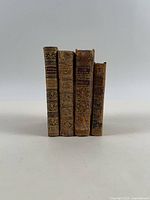 Front view of four leather-bound books standing upright