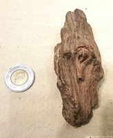 Top view showing full fragment and scale coin