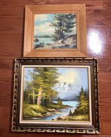 Both framed paintings front view