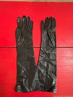 Both gloves front view laid flat