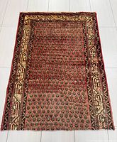 Full view top-down of entire rug showing pattern and borders