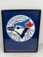 Front view showing full vintage Blue Jays logo and frame