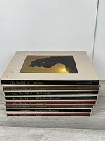 Stacked view of all eight Time-Life Library of Art books showing spines