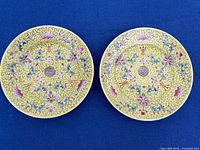 Both plates front view on blue background