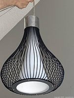 Full view of pendant showing black wire cage and frosted glass shade
