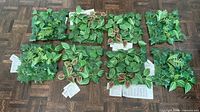 All eight foliage squares laid out showing two patterns and tags