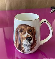 Front view showing Springer Spaniel portrait and gold rim