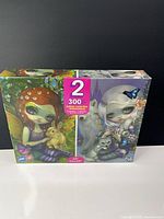 Front of sealed box showing both puzzle images and 2 x 300-piece label