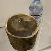 Specimen beside 500 ml water bottle showing size and polished face