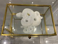 Top view of open glass and brass box with quartz snake inside