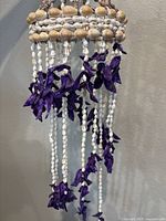 Close-up of lower shell strands with purple shells