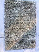 Full view of rectangular wool shag rug