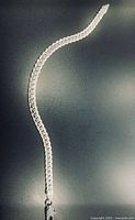Full view of the chain bracelet laid straight showing overall length and link style