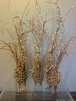 Four glass bottles with twine covers and pussy willow stems displayed together