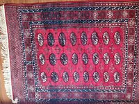 Full view of entire rug showing design and fringe