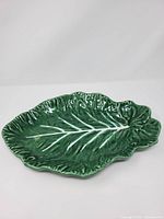 Front view of green cabbage leaf platter