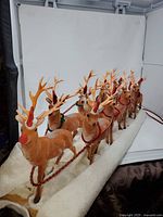 Full view of nine flocked reindeer on cotton batting base with reins