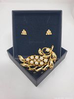 Brooch and earrings displayed in black box